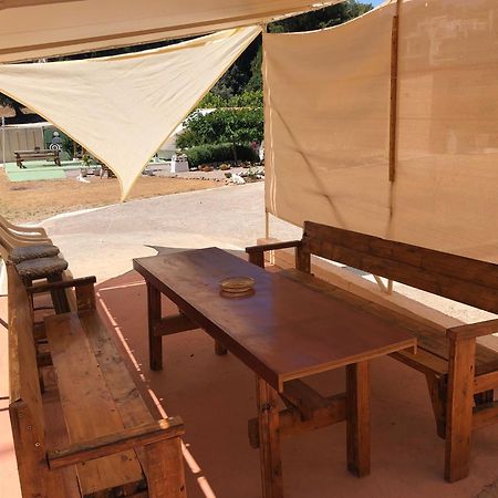 Converted Shed Studio & Garden Hanging Bed Pórto Ráfti 外观 照片